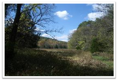 Missouri-River-Hills-COA-Bear-Valley-Picture