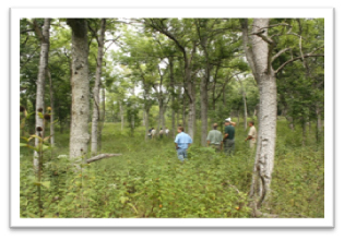 Missouri-River-Hills-COA-Disturbed-Woodland-Area-Picture