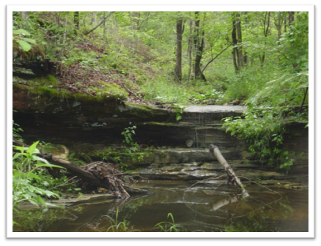 Missouri-River-Hills-COA-St-Peters-Sandstone-Picture